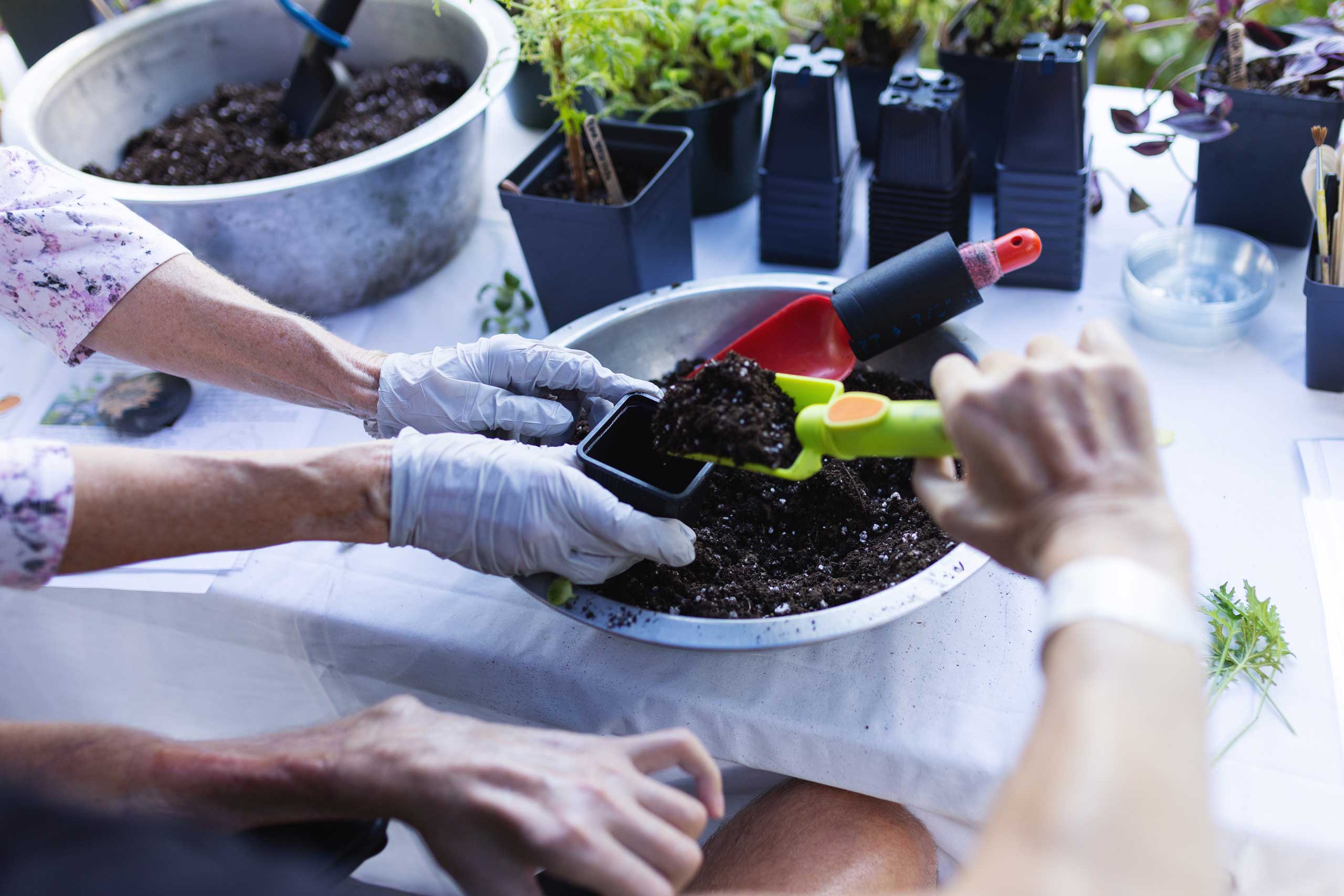gardening