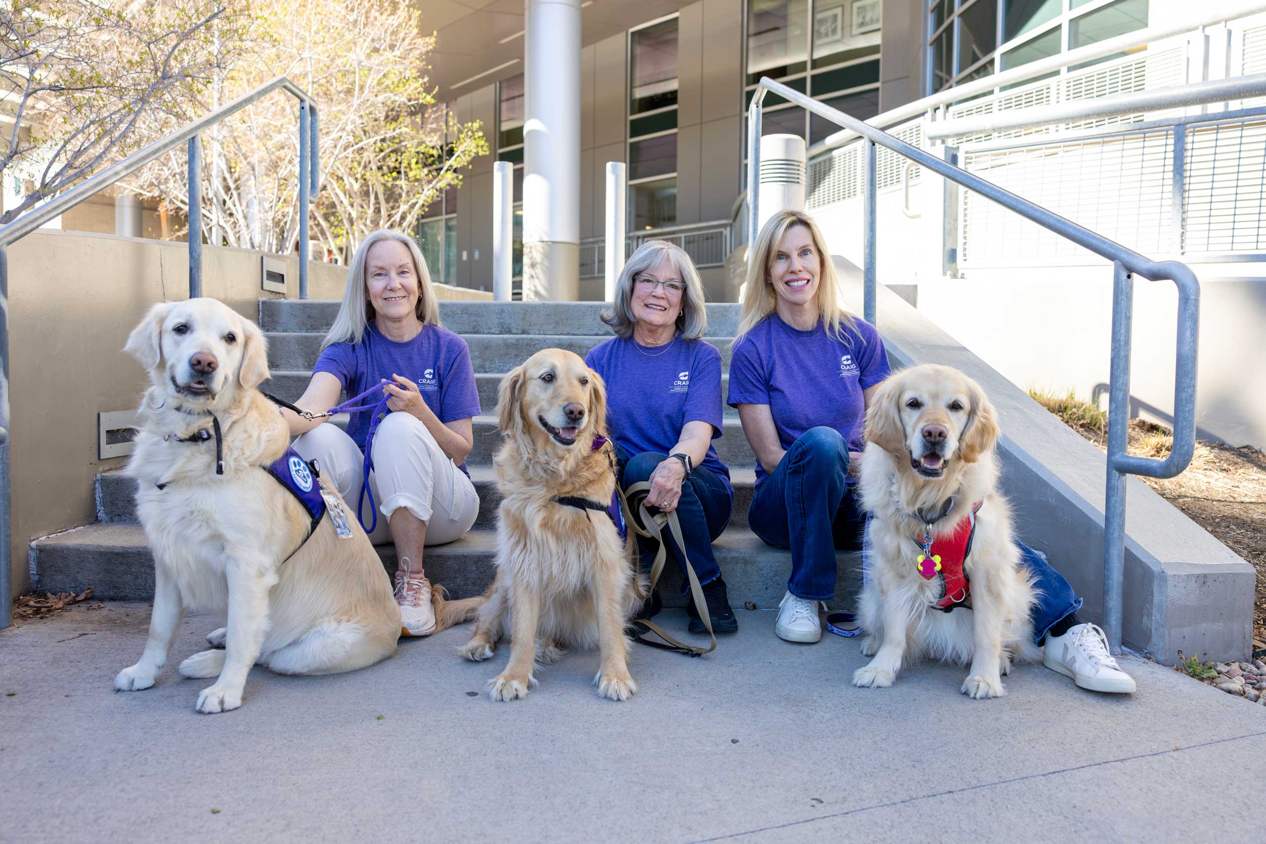 staff members with therapy dogs